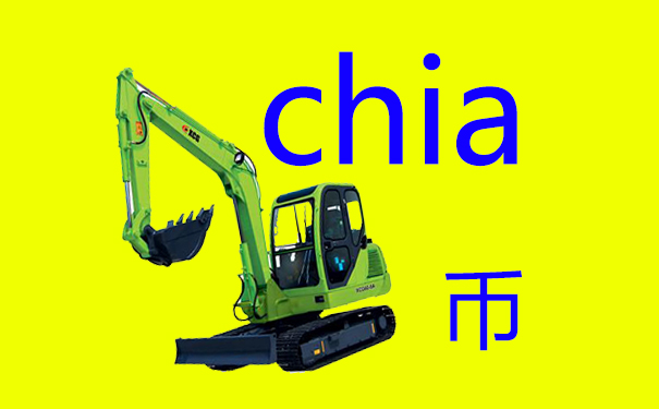 海外服務器_Chia奇亚农场服務器租用