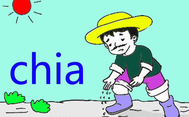 什么是Chia币挖矿与服務器配置_海外服務器 什么是Chia币挖矿与服務器配置_海外服務器