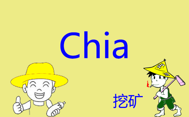 Chia币挖掘服务器配置|服务器租用费用