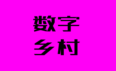 七部委组织编制的指南中指出数字乡村建设要稳步有序推进